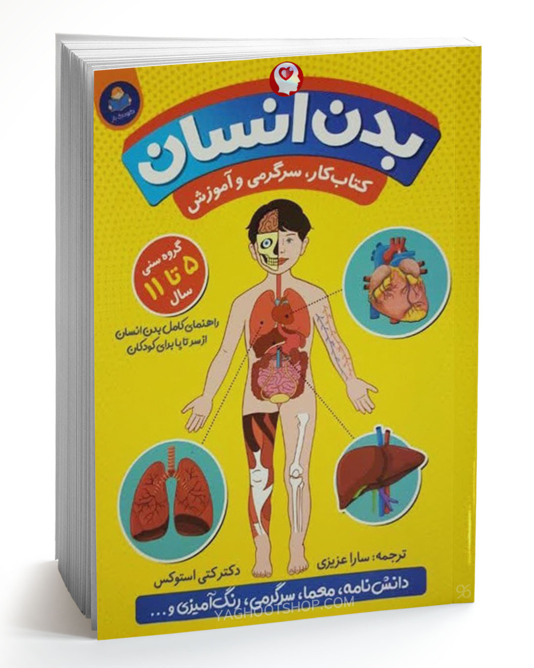 کتاب بدن انسان (ویژه کودکان 5 تا 11 سال) اثر دکتر کتی استوکس ترجمه سارا عزیزی انتشارات یوشیتا